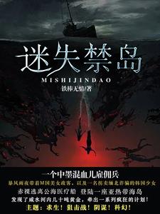 迷失禁岛