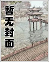 混迹在宝可梦中世纪的女巫仙布